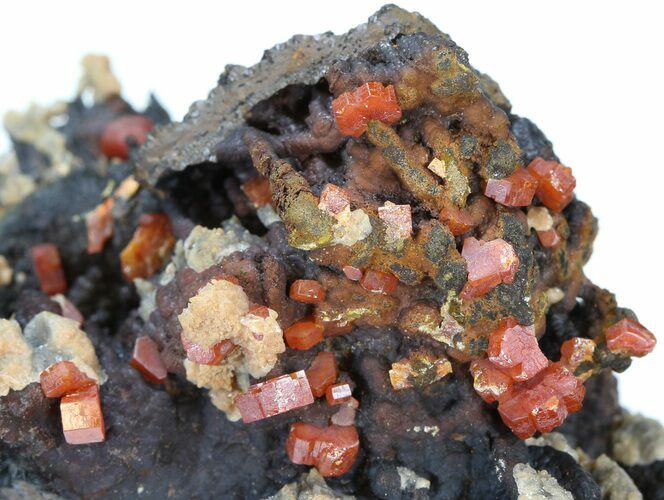 Red Vanadinite Crystals on Manganese Oxide - Morocco #38498
